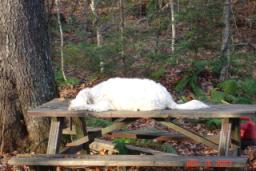 DEER CAMP 2007 028.jpg